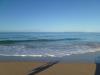 P1000332-Last walk-thumb.jpg